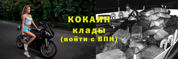дмт Верея